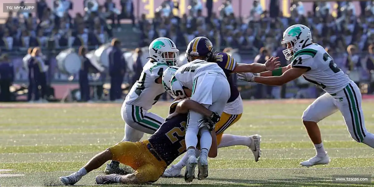 为什么选择我们