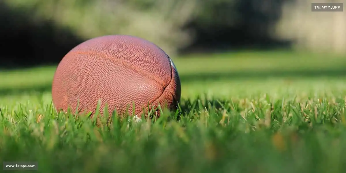 我们的品牌价值